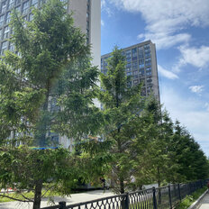 Квартира 27,4 м², студия - изображение 4