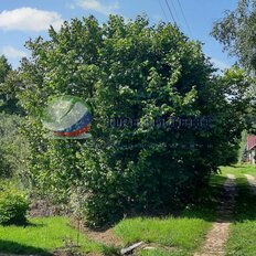 11,6 сотки, участок - изображение 1