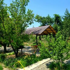 6 соток, участок - изображение 1