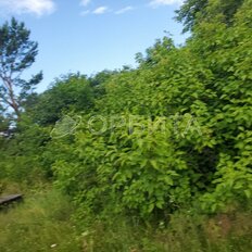 30 соток, участок - изображение 4