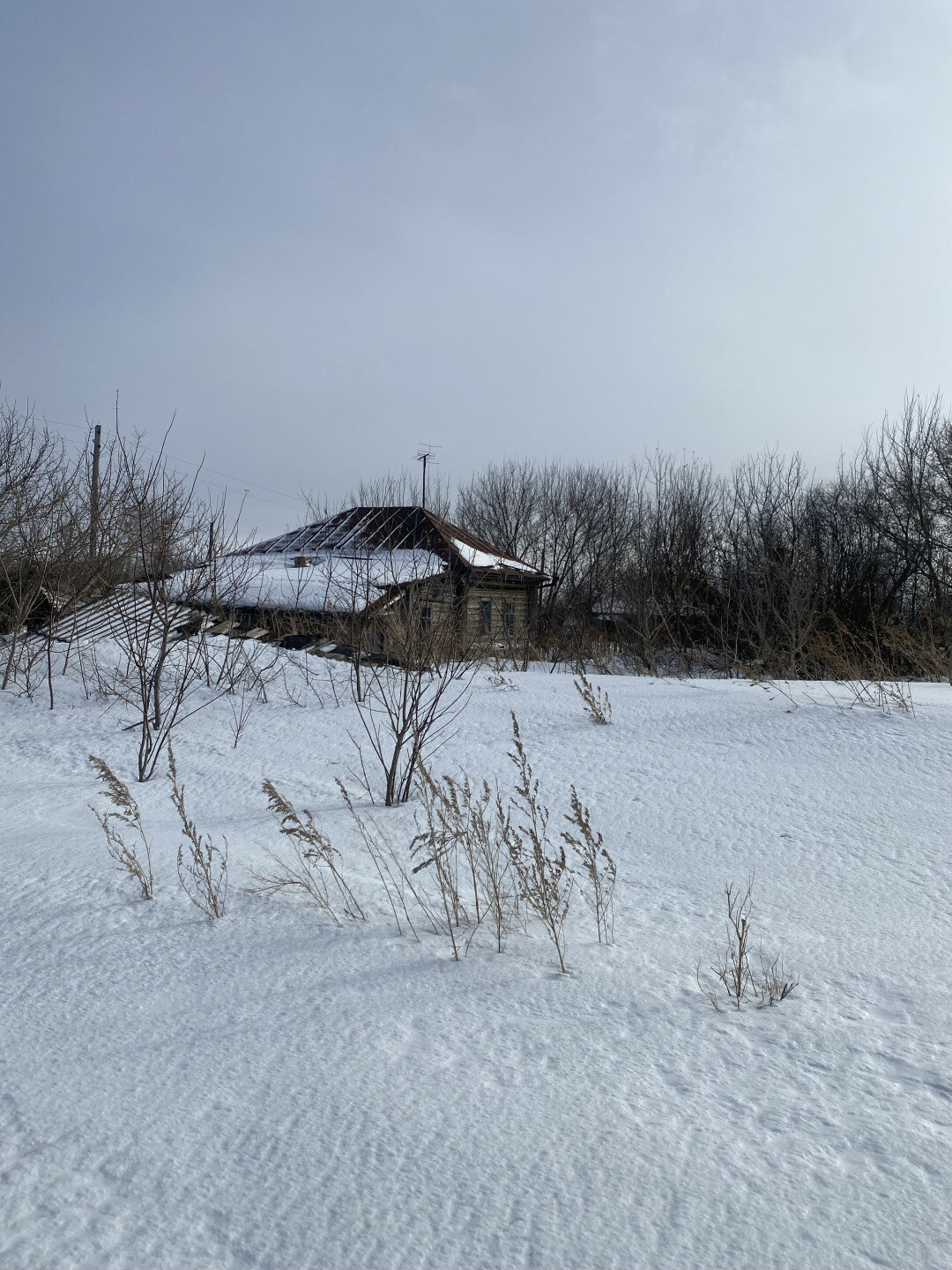 Дом 3-комн. 74 м² в село Подстепное — фото 8 из 9