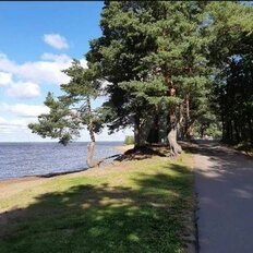 Квартира 42 м², 1-комнатная - изображение 2