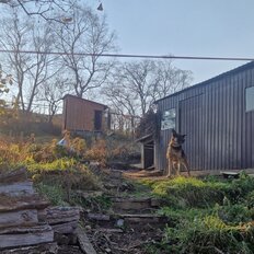 дом + 7 соток, участок - изображение 5