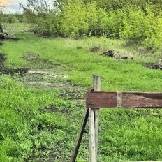 12 соток, участок - изображение 5