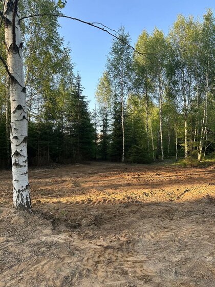 6,6 сотки, участок 957 000 ₽ - изображение 11