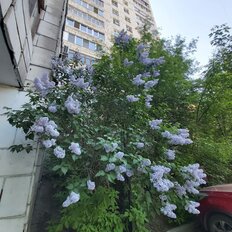 Квартира 61,3 м², 3-комнатная - изображение 3