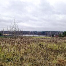 1,2 га, участок - изображение 3