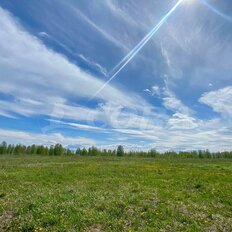 6,5 сотки, участок - изображение 4