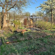 4 сотки, участок - изображение 4