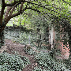 6 соток, участок - изображение 1