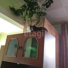 Квартира 37 м², студия - изображение 4