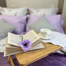 Квартира 24 м², студия - изображение 2