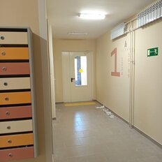 Квартира 28,1 м², 1-комнатная - изображение 4