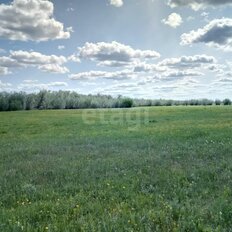 5 соток, участок - изображение 3