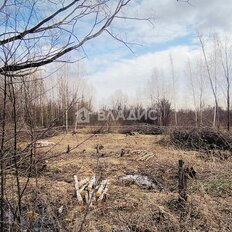 12 соток, участок - изображение 4