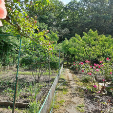 дом + 8,5 сотки, участок - изображение 2