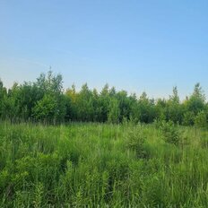 10 соток, участок - изображение 3