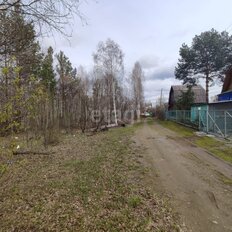 5,5 сотки, участок - изображение 1