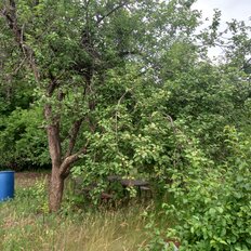 дом + 6 соток, участок - изображение 5