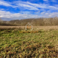 1,6 га, участок - изображение 2