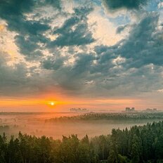 Квартира 42 м², 1-комнатная - изображение 2