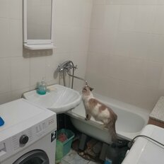 Квартира 52,9 м², 3-комнатная - изображение 1