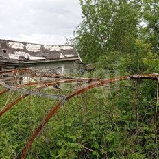 5 соток, участок - изображение 5