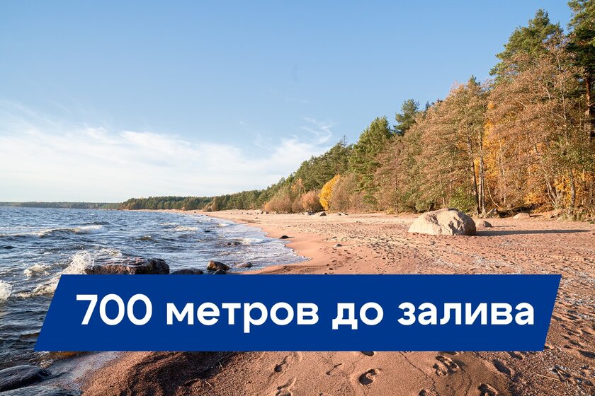 45 м², 1-комнатная квартира 2 600 000 ₽ - изображение 20