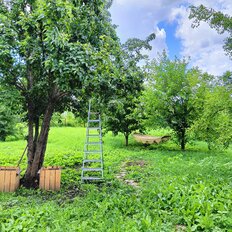 дом + 10 соток, участок - изображение 5