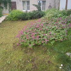 Квартира 38 м², 1-комнатная - изображение 2