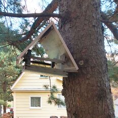 дом + 10 соток, участок - изображение 5