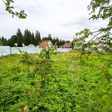 5 соток, участок - изображение 2