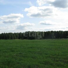 10 соток, участок - изображение 2