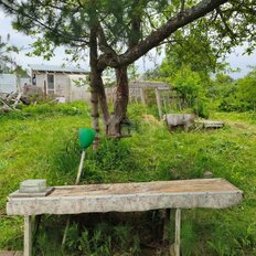 5 соток, участок - изображение 5