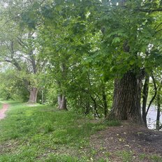 Квартира 78 м², 4-комнатная - изображение 1