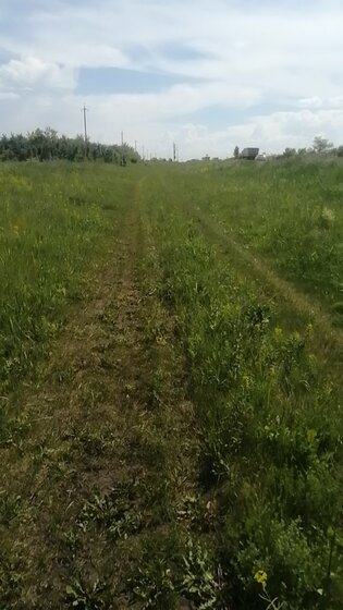 366,1 сотки, участок 1 025 000 ₽ - изображение 29