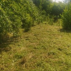 4,5 сотки, участок - изображение 1