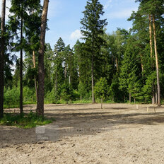 12,6 сотки, участок - изображение 3