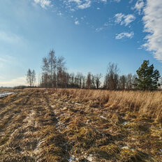 6 соток, участок - изображение 2