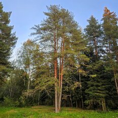 11,3 сотки, участок - изображение 2