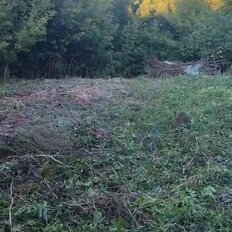 12 соток, участок - изображение 5