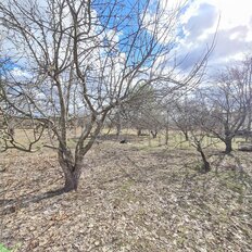 10 соток, участок - изображение 1