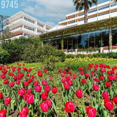 Квартира 52 м², 1-комнатные - изображение 1