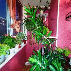 Квартира 60 м², 2-комнатная - изображение 5