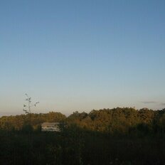 8 соток, участок - изображение 2