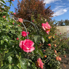 дом + 4 сотки, участок - изображение 5