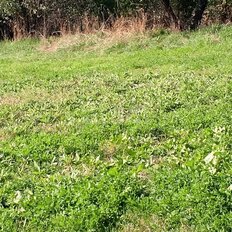 33 га, участок - изображение 4