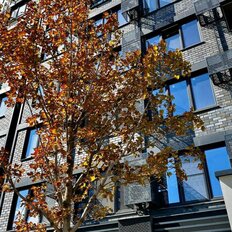 Квартира 36,2 м², 1-комнатная - изображение 5