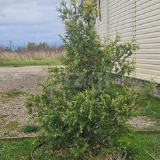 дом + 9,7 сотки, участок - изображение 3