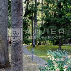 62 сотки, участок - изображение 2